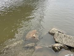 -汉江湾体育公园