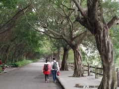 -大湾区中央湿地公园