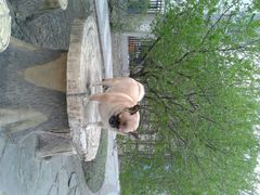 android_upload_pic-丁香西饼屋(桂林路店)