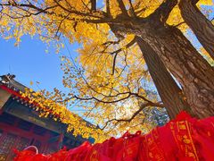 -红螺寺