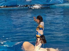 -海合安成都极地海洋公园
