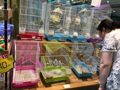 -龟与熊猫宠物公园(南坪店)