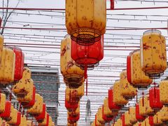 -洋湖国家湿地公园
