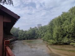 -大亚湾红树林城市湿地公园