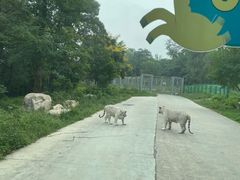 -西安秦岭野生动物园