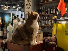 -咖法森林·咖啡  酒吧(天河店)