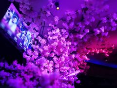 -A+ LIVE HOUSE(武汉天地店)