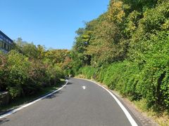 -宝界山林公园