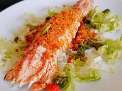 大濑尿虾-猪肉婆私房菜(容桂总店)