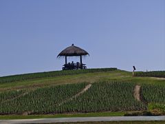 -径山花海