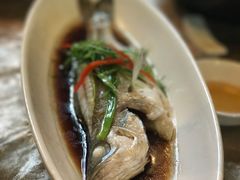 -十八棵（老龙井）御茶园(老龙井店)