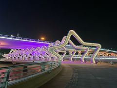 -演武大桥观景平台