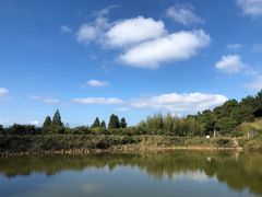 -永泰中国云顶