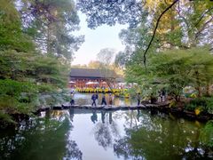 -杭州植物园