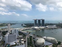 -新加坡瑞士史丹福酒店