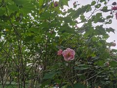 -杭州城北体育公园