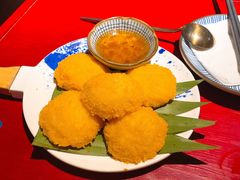 虾饼-浩海火烧云傣家菜(京广店)