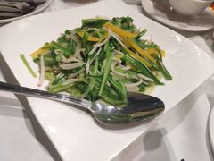 -詠春园
