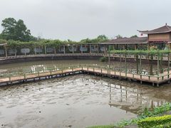 -广州莲花山旅游区