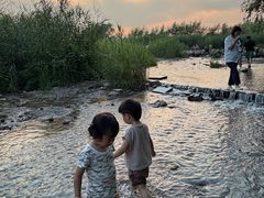 -绿堤公园
