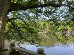 -庐山风景区花径公园