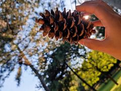 -森林公园(尖草坪区)