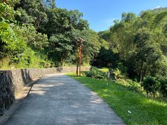 -黄埔油麻山森林公园
