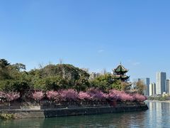 -望江楼公园