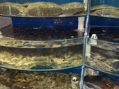 -蓝珊甄选海鲜自助·火锅大排档(近阿那亚店)