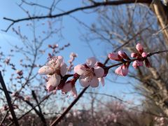 -北运河水利风景区