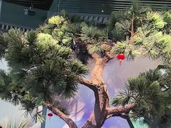 -绿茶餐厅(成都大悦城店)