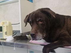 -酷宠动物医院(天通西苑店)