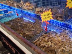 水产区-必点海鲜·鲅鱼水饺(鞍山西道店)