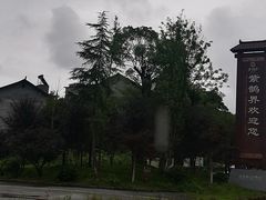 -紫鹊界梯田景区