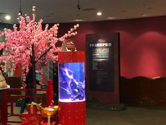 -上海海洋水族馆