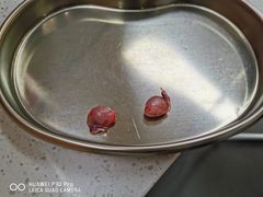 -联合动物医院(光谷诊疗中心)