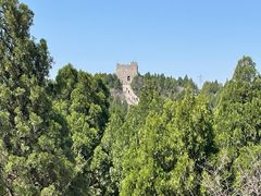 -原山国家森林公园