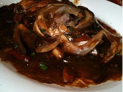 100APPLE_IMG_0729-老正兴菜馆(福州路店)