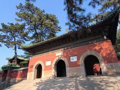 -普乐寺