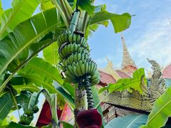 -西双版纳傣族园