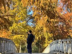 -上海海湾国家森林公园