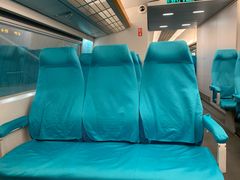 -龙阳路磁悬浮列车总站-停车场