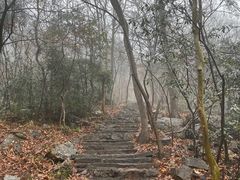 -紫金山山顶公园