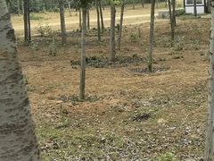 -秦皇岛野生动物园