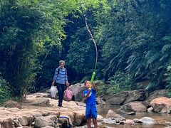 -广州白江湖森林公园