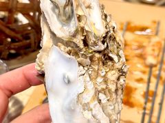 -蚝堡·生蚝海鲜烧烤物种起源•海肠捞饭(刘公岛店)