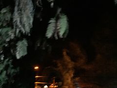 -夏威夷火山国家公园