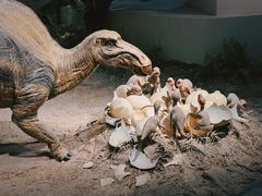 -自贡恐龙博物馆