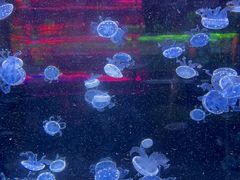 -杭州野生动物世界