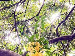-桂语山房(满觉陇店)